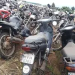 LOTE 0126