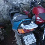 LOTE 0147