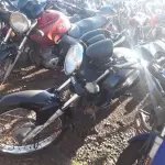 LOTE 0046