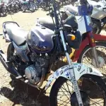 LOTE 0131