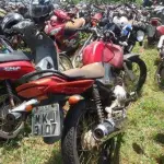 LOTE 0042