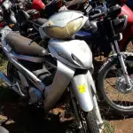 LOTE 0129