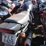 LOTE 0126