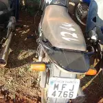 LOTE 0125