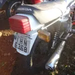 LOTE 0120