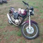 LOTE 0123