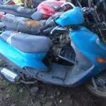 LOTE 0147