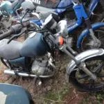 LOTE 0130