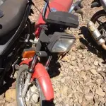 LOTE 0141