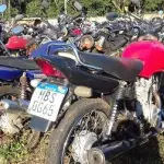 LOTE 0036