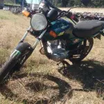 LOTE 0041