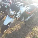 LOTE 0039
