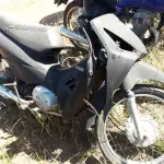 LOTE 0137