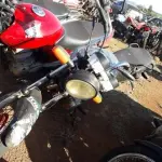 LOTE 0130