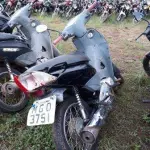 LOTE 0124
