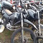 LOTE 0050