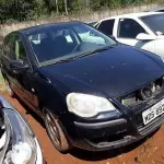 LOTE 0031