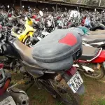 LOTE 0050