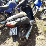 LOTE 0137
